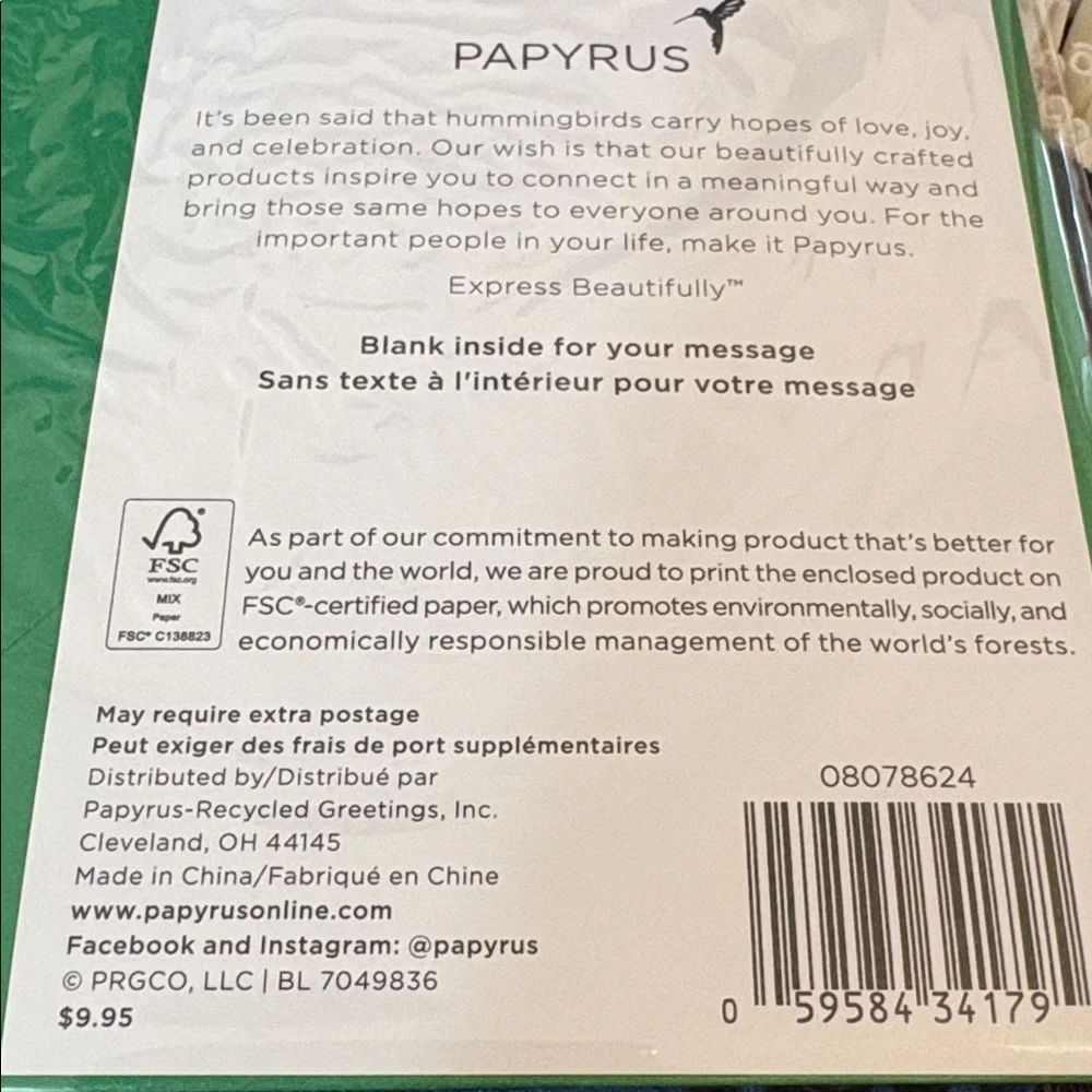 🆕Papyrus 3D Embroidered Tiger Blank Inside Card
